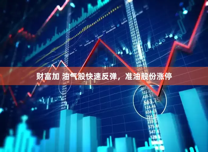 财富加 油气股快速反弹，准油股份涨停