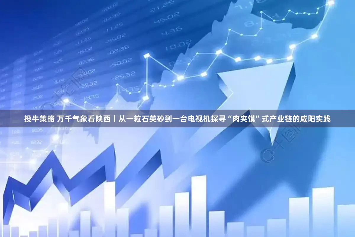 投牛策略 万千气象看陕西丨从一粒石英砂到一台电视机探寻“肉夹馍”式产业链的咸阳实践
