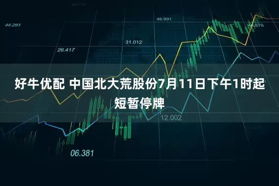 好牛优配 中国北大荒股份7月11日下午1时起短暂停牌
