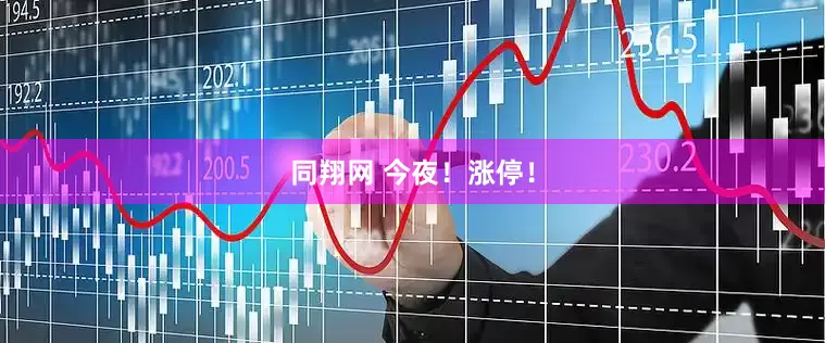 同翔网 今夜！涨停！