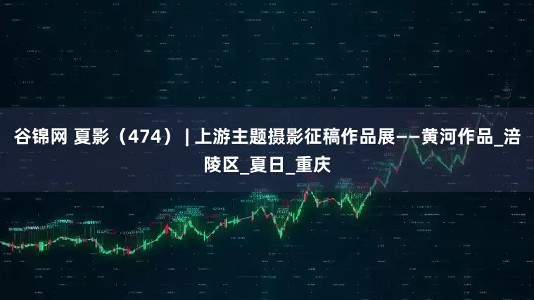 谷锦网 夏影（474） | 上游主题摄影征稿作品展——黄河作品_涪陵区_夏日_重庆