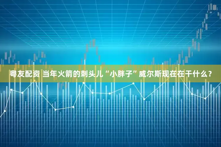 粤友配资 当年火箭的刺头儿“小胖子”威尔斯现在在干什么？