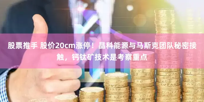 股票推手 股价20cm涨停！晶科能源与马斯克团队秘密接触，钙钛矿技术是考察重点