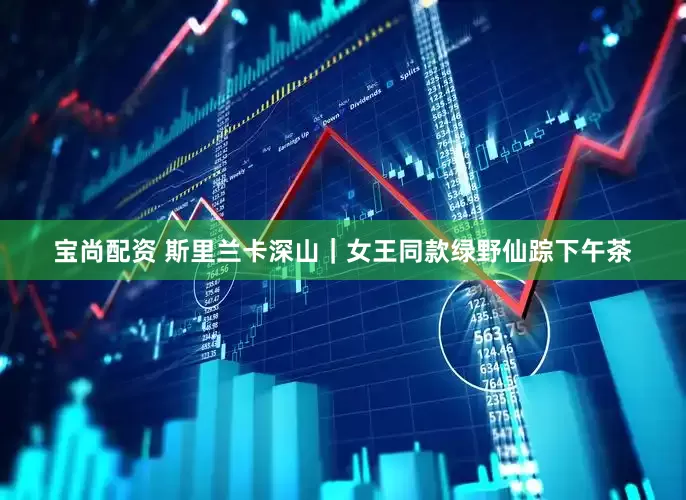 宝尚配资 斯里兰卡深山｜女王同款绿野仙踪下午茶